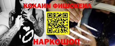 индика Можга