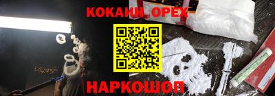 индика Можга