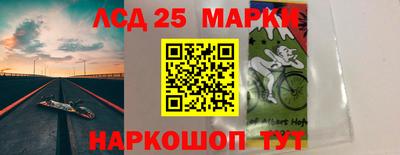 индика Можга