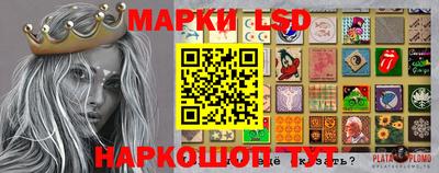 индика Можга