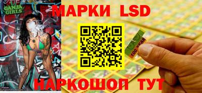 индика Можга