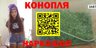 индика Можга