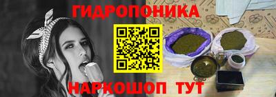 индика Можга