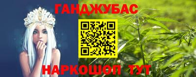 индика Можга