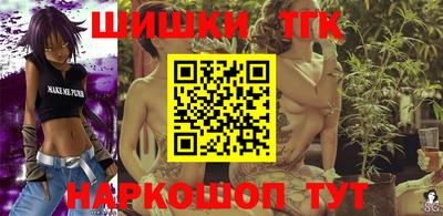 индика Можга