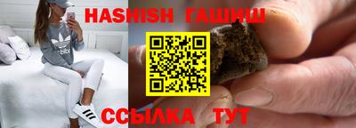 индика Можга